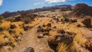 Trans Augrabies 2026