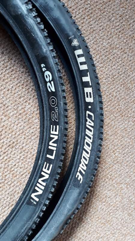 cannondale F29 NINELINE 29erチューブレスタイヤ ペア Cannondale Branded WTB Nine Line 2.0 29er Tyres | Mountain Bike