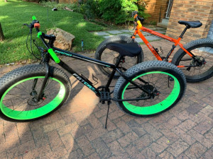 rapid fat cat bicycle