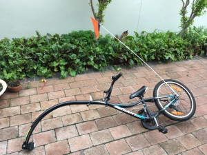 Giant Halfwheeler 7-SPEED Bicycle 