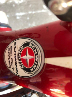 Reduced) Schwinn Paramount Series Carbon Bike Road Bikes