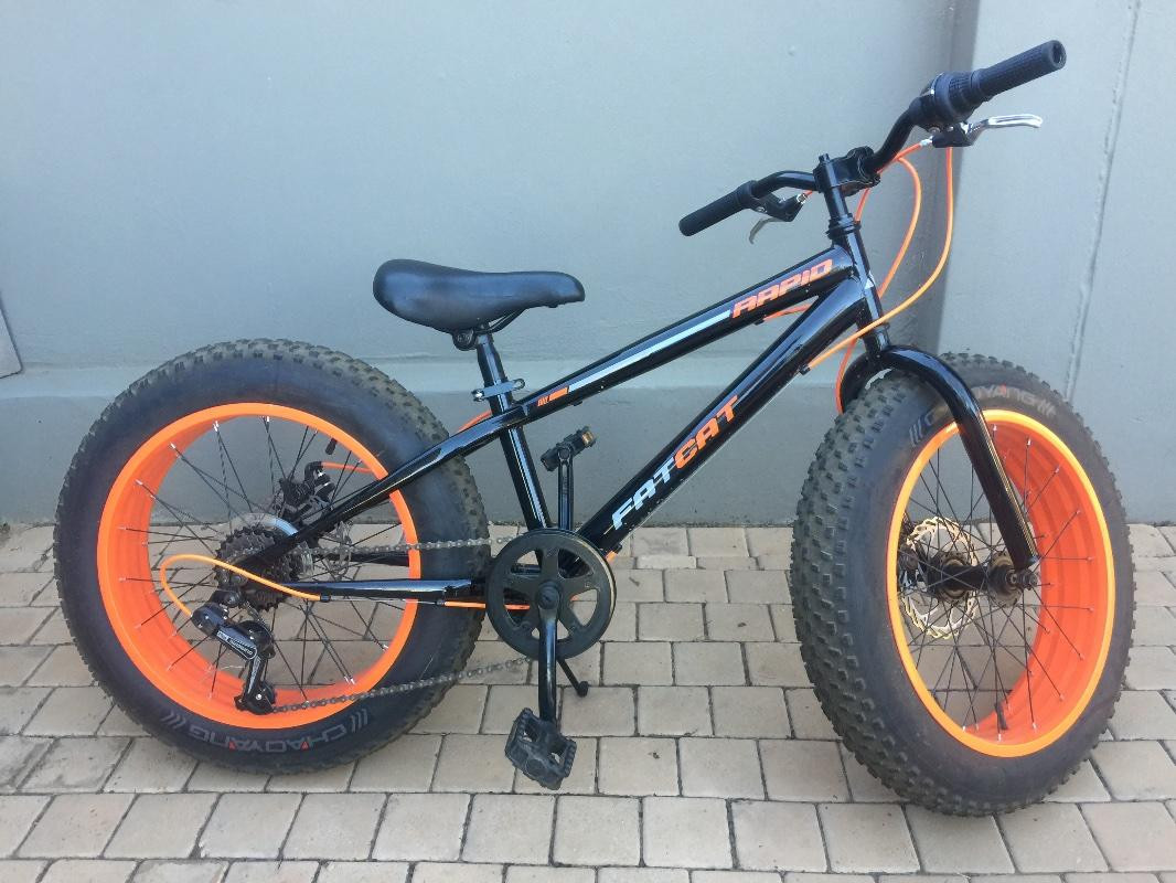 Mini Bikes Fat Cat Bicycle Price The Extreme Explorers FatCat