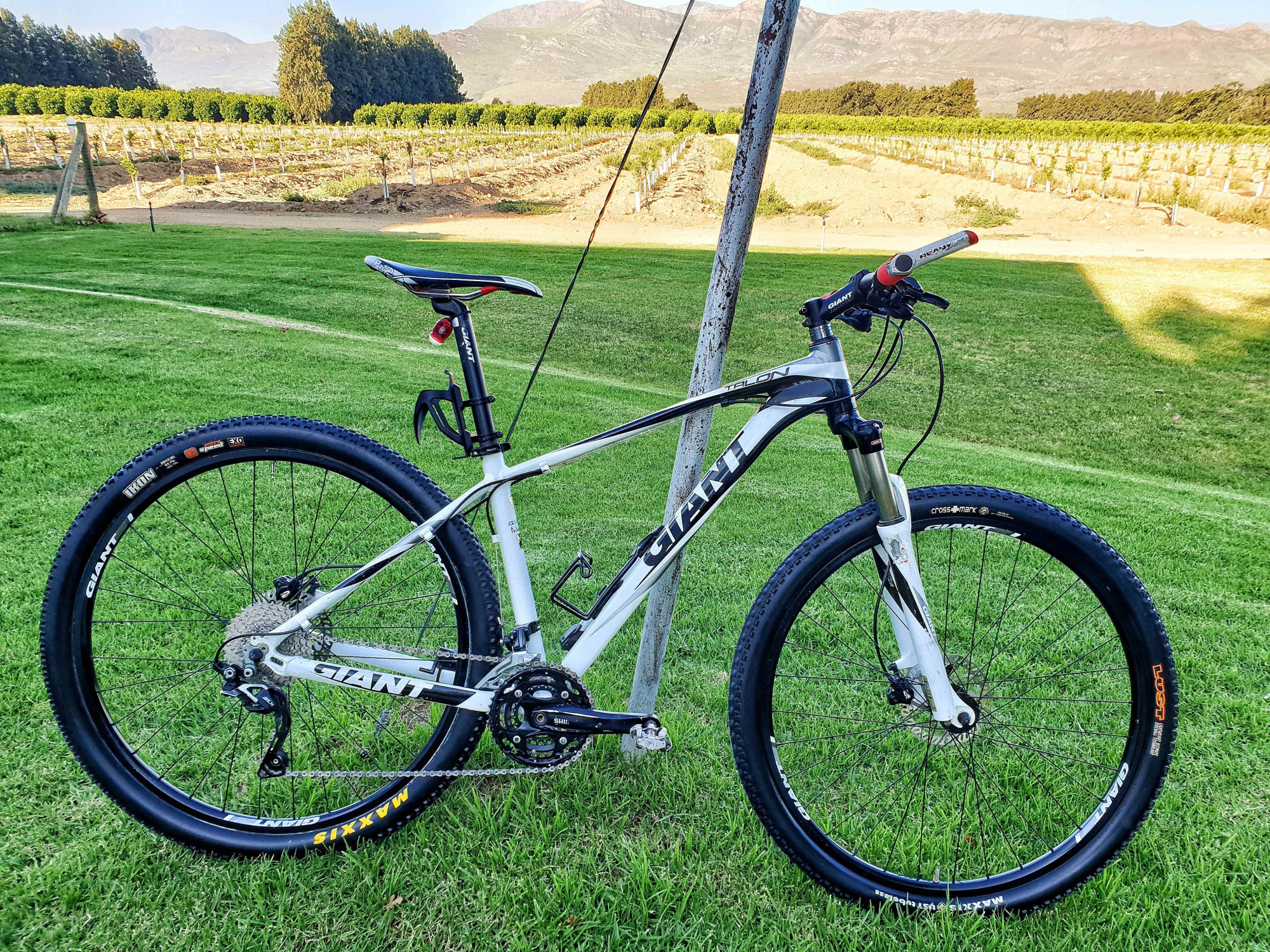 Giant Talon 29er | Hardtail Mountain Bikes | Bike Hub