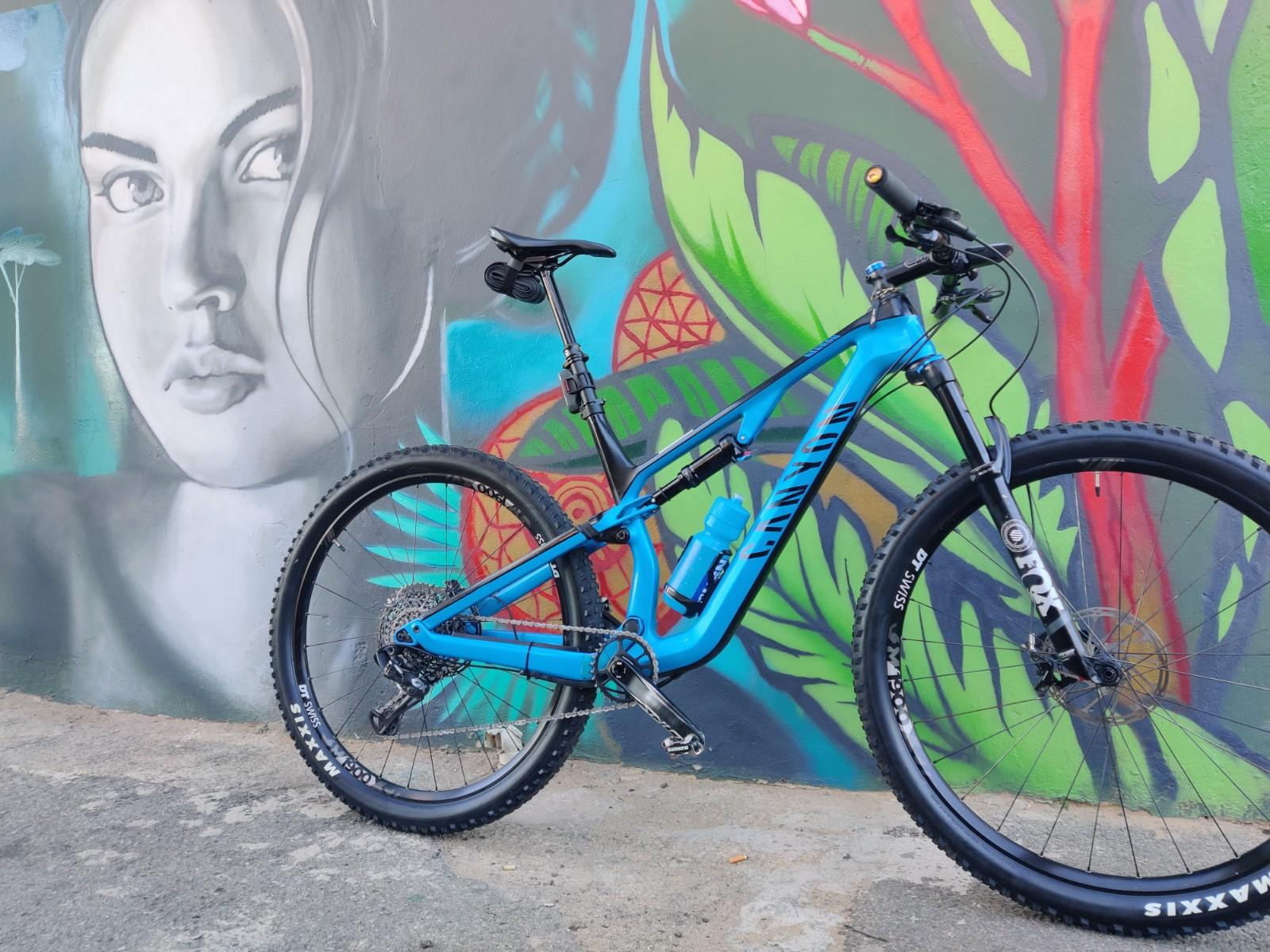Canyon Neuron Blue 2019 Canyon Neuron CF Dual Suspension