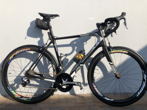 polygon carbon mtb