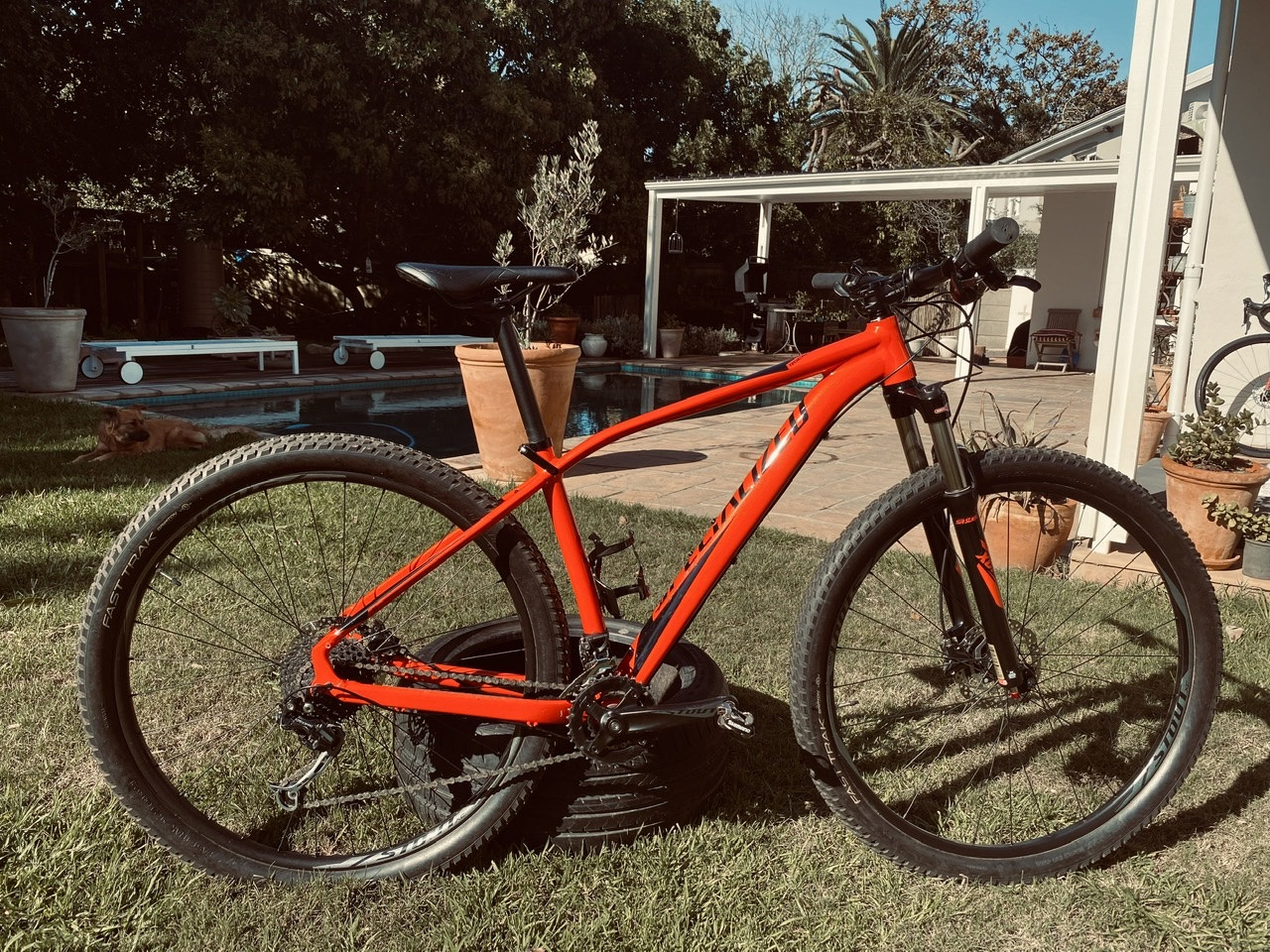 Frame Rockhopper 29 2018 Bicycle Specialized Rockhopper Sport 29