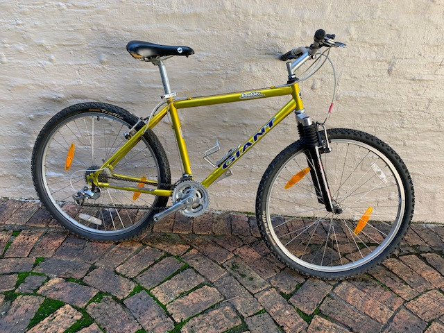 Giant Boulder Mountain Bike
