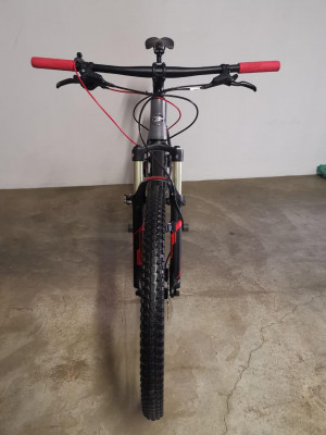 silverback stride 29 sx review