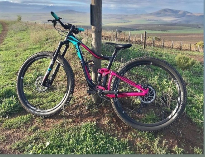 Liv Pique Advanced Dual Suspension Mountain Bikes Bike Hub