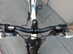 starter commuter bike