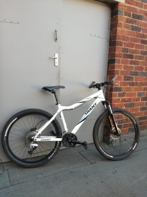 starter commuter bike