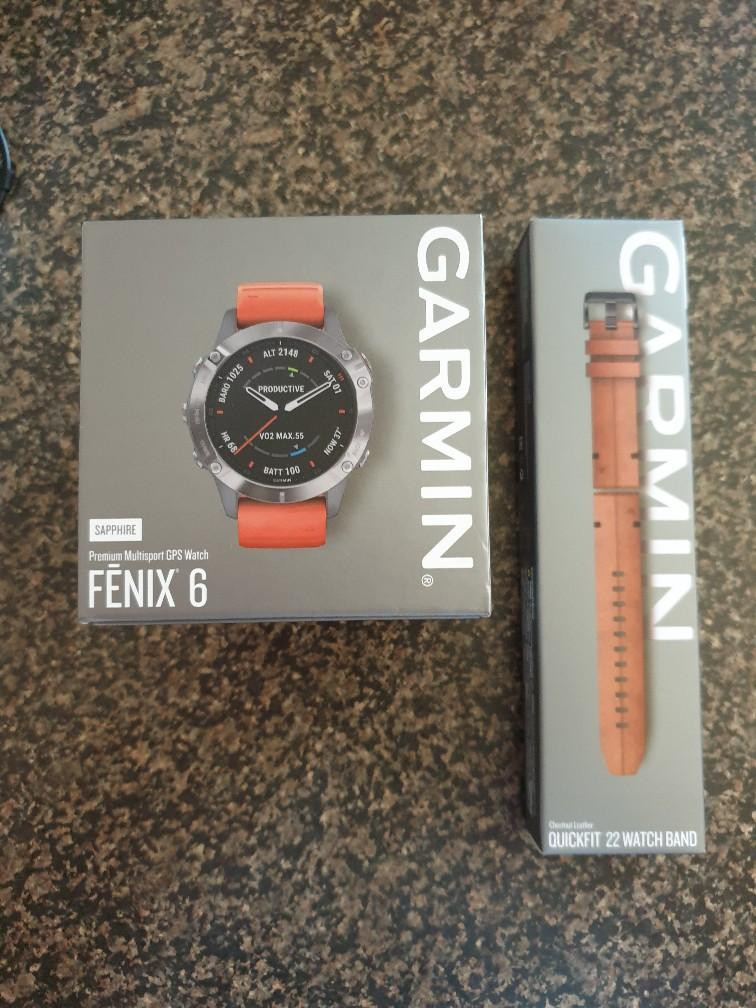 garmin fenix sapphire titanium