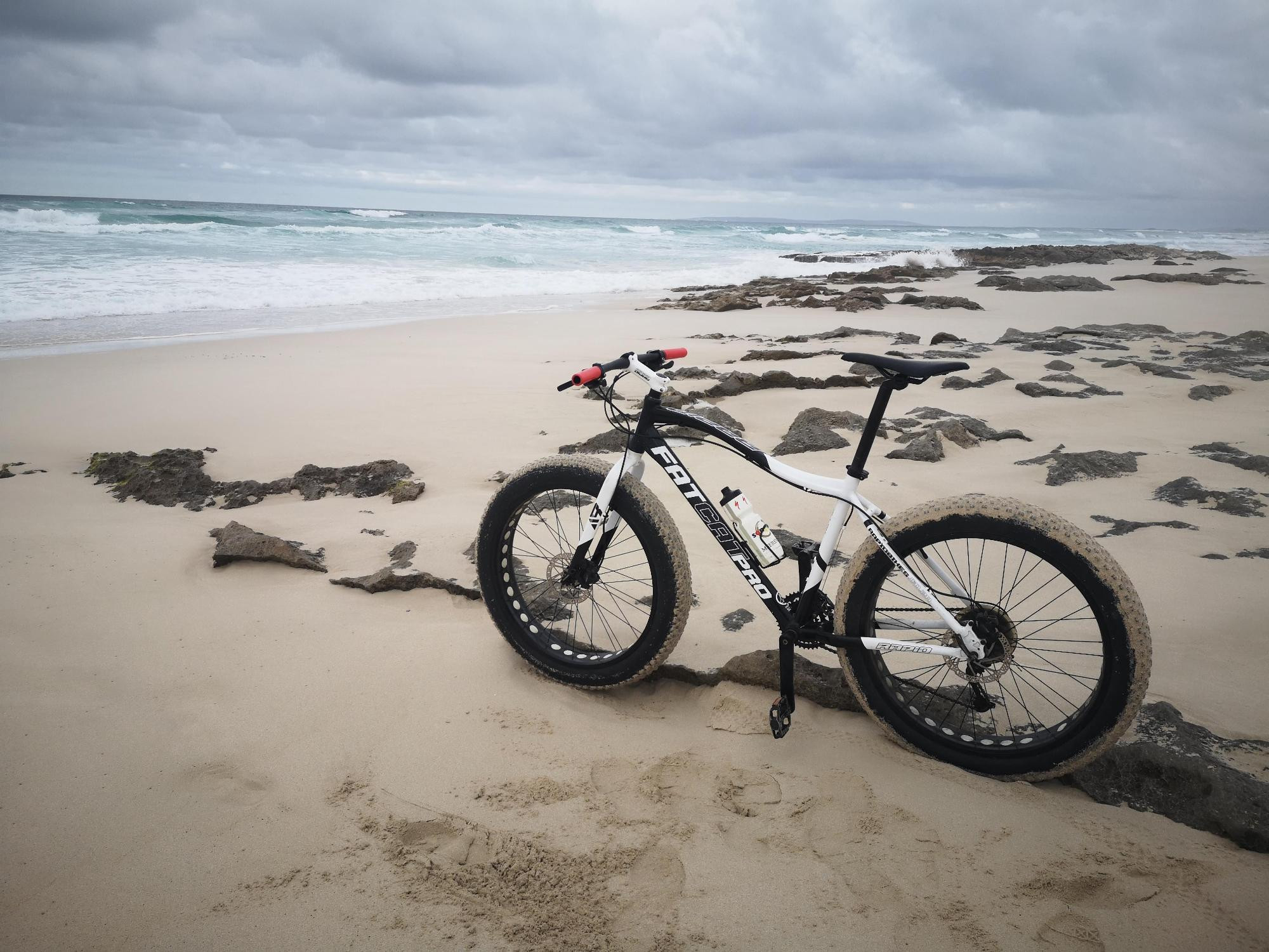 Fat Cat Bike Rapid Fat Cat Pro (L) Fat Bikes Bike Hub