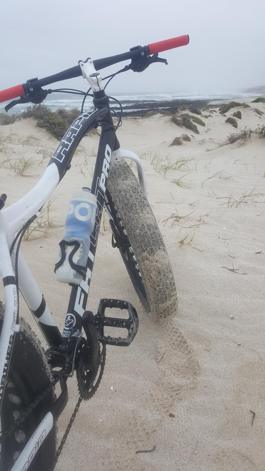 rapid fat cat bicycle