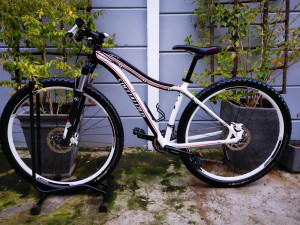specialized jett expert 29