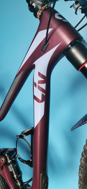 Liv Pique Advanced 2 2018 | Bike Hub