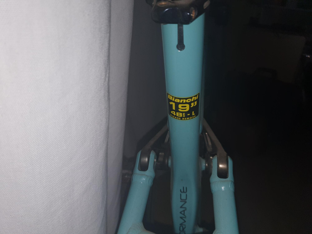 bianchi jab fs