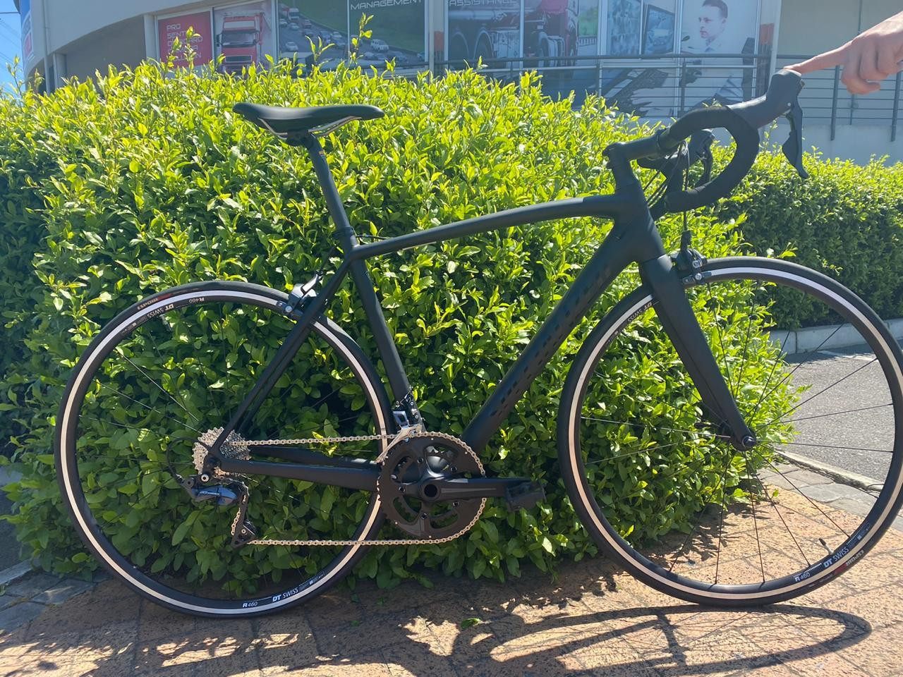 NEW Specialized Tarmac Elite SL4 Road Bikes Bike Hub