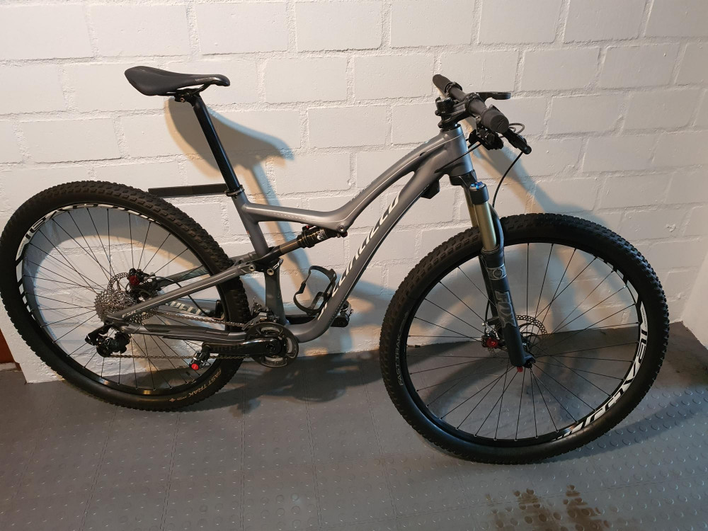 specialized rumor expert