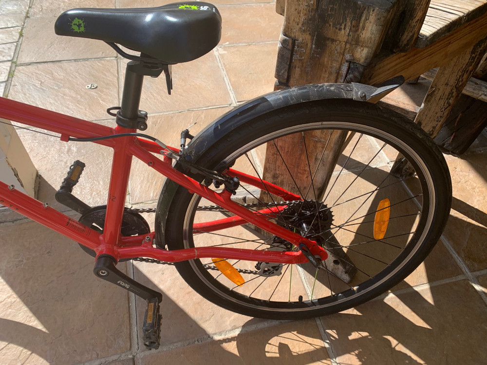 frog bike 24 inch