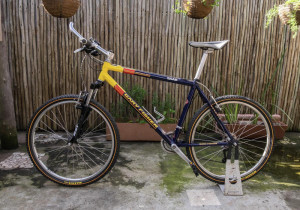 gary fisher supercaliber