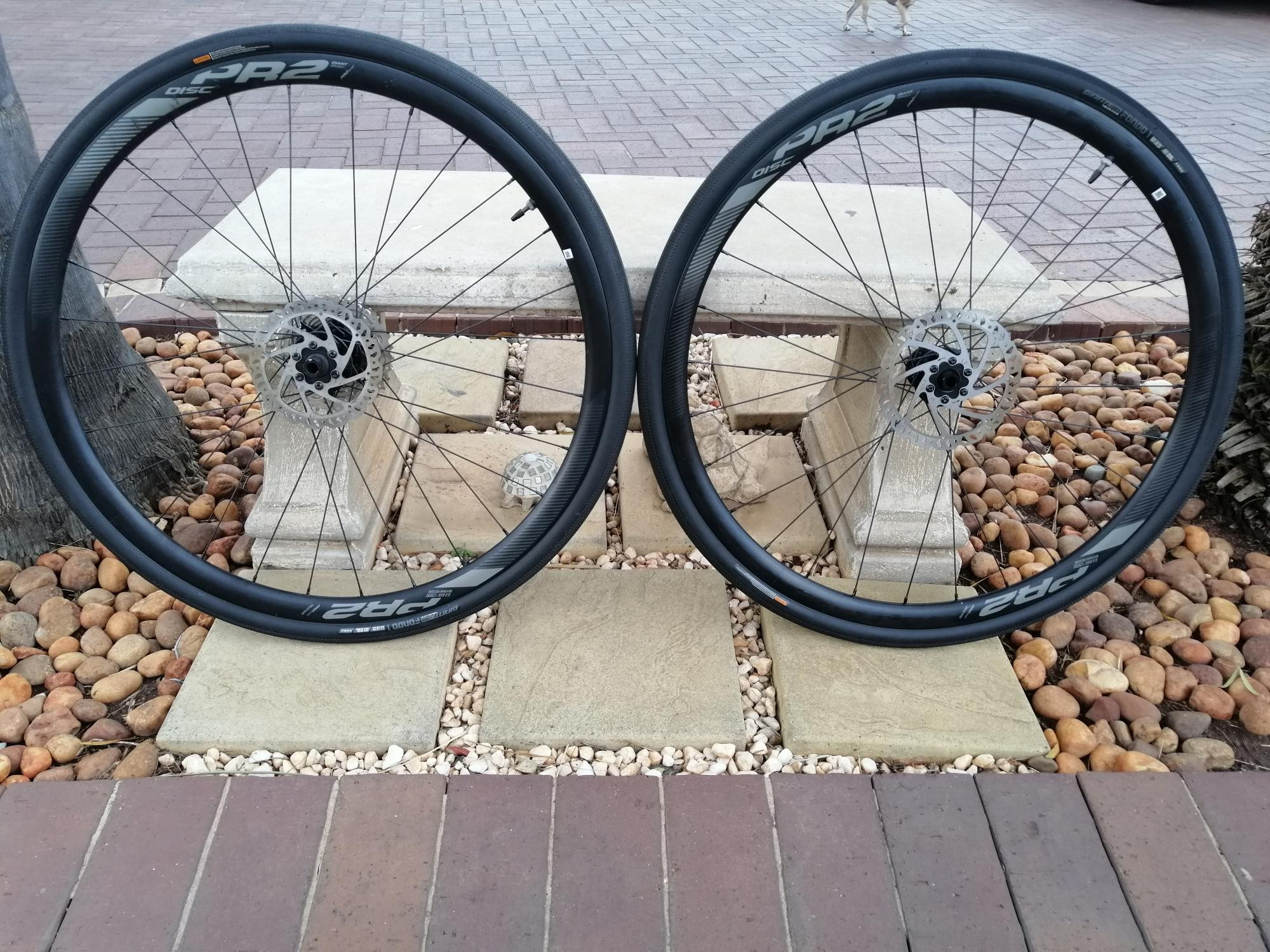 GIANT ジャイアントPR2 DISC ＋ Gavia Fondo 1 GIANT Gavia Fondo 1