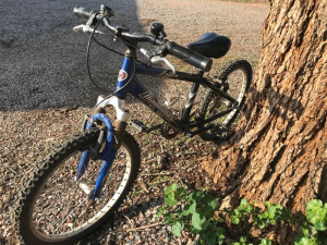 20 Inch Diamond Back Dirt Jumper Diamond Back Skin Dog Old School