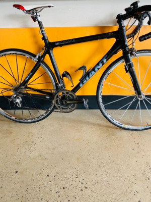 Giant TCR Carbon with Campagnolo 