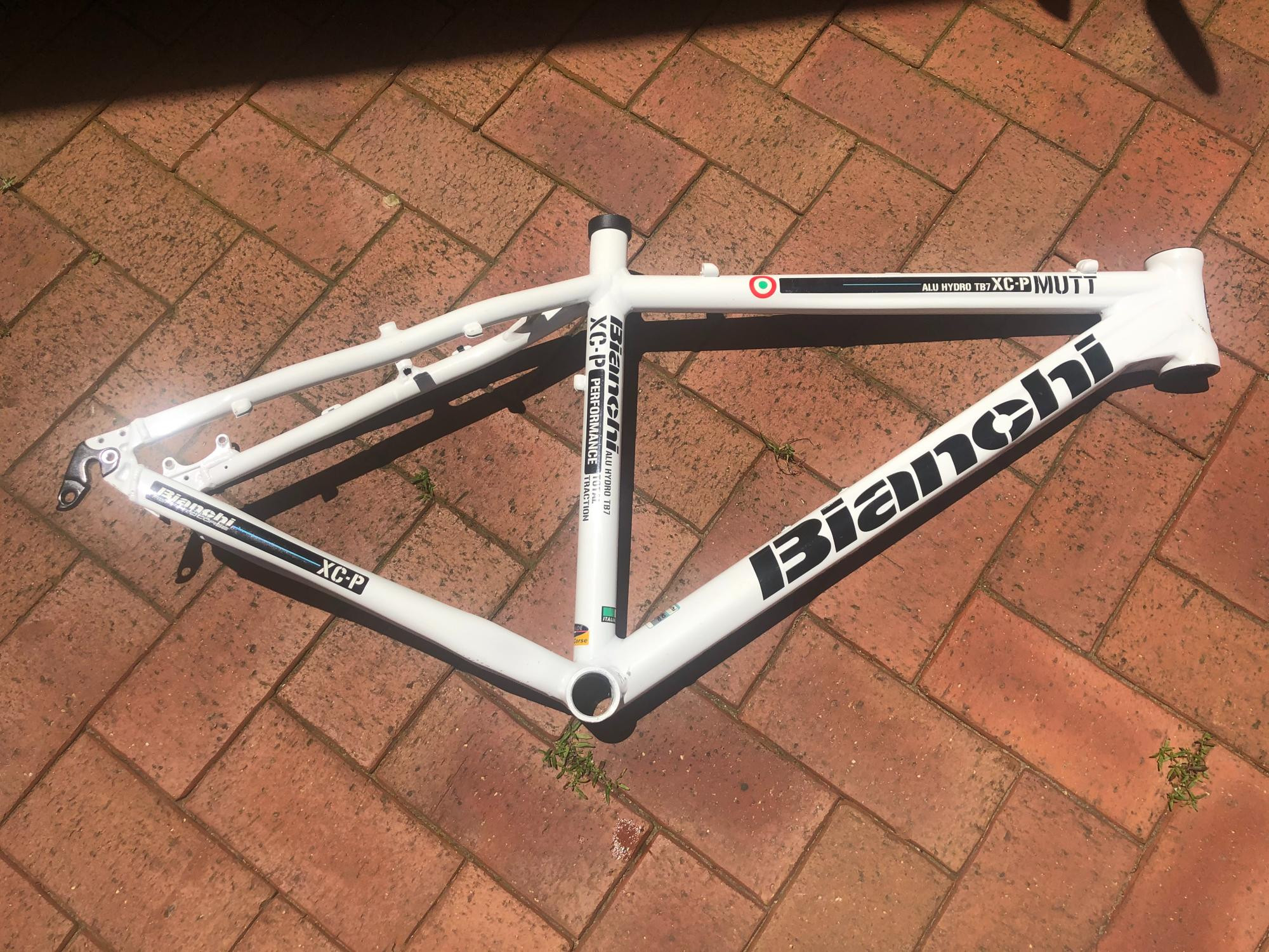 Bianchi XC-P Mutt Frame Hardtail Mountain Bike Frames Bike Hub