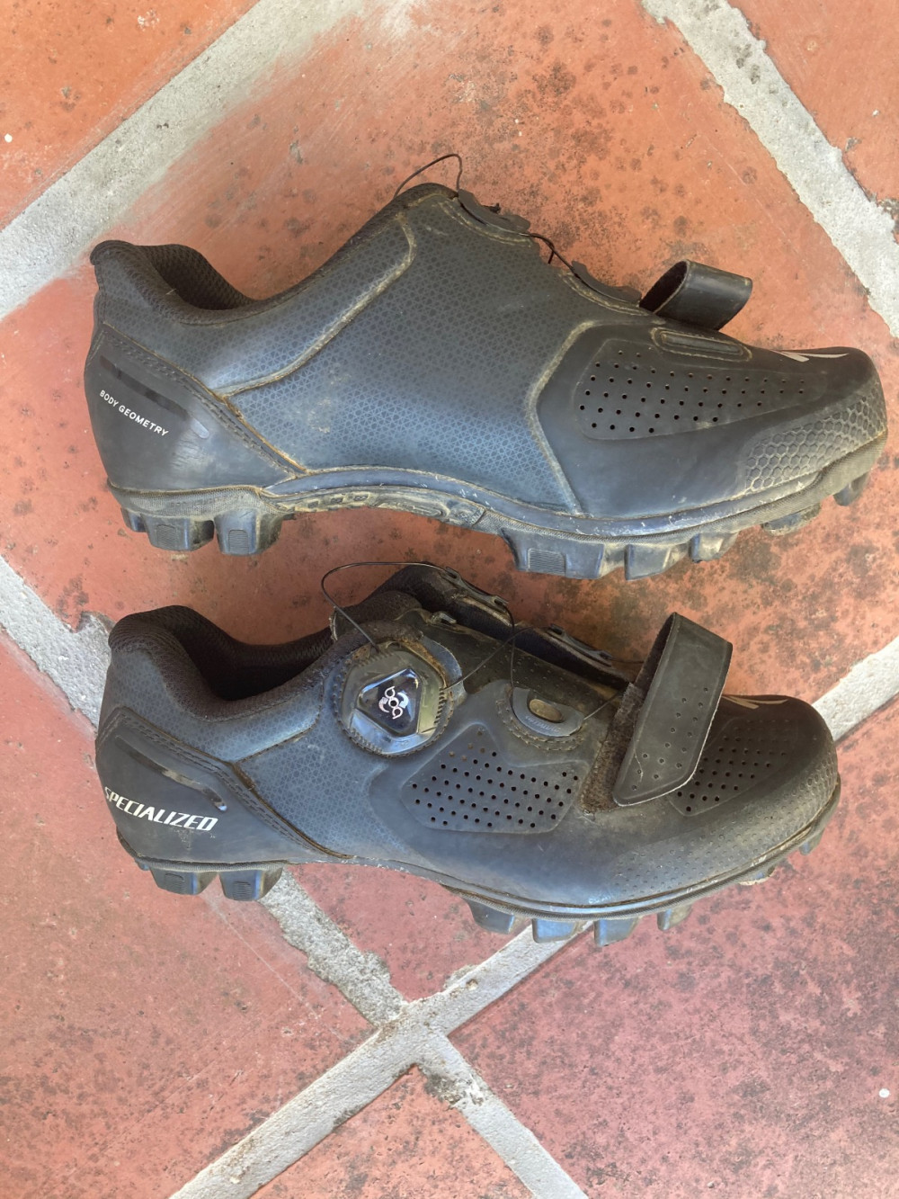 specialized expert xc shoes