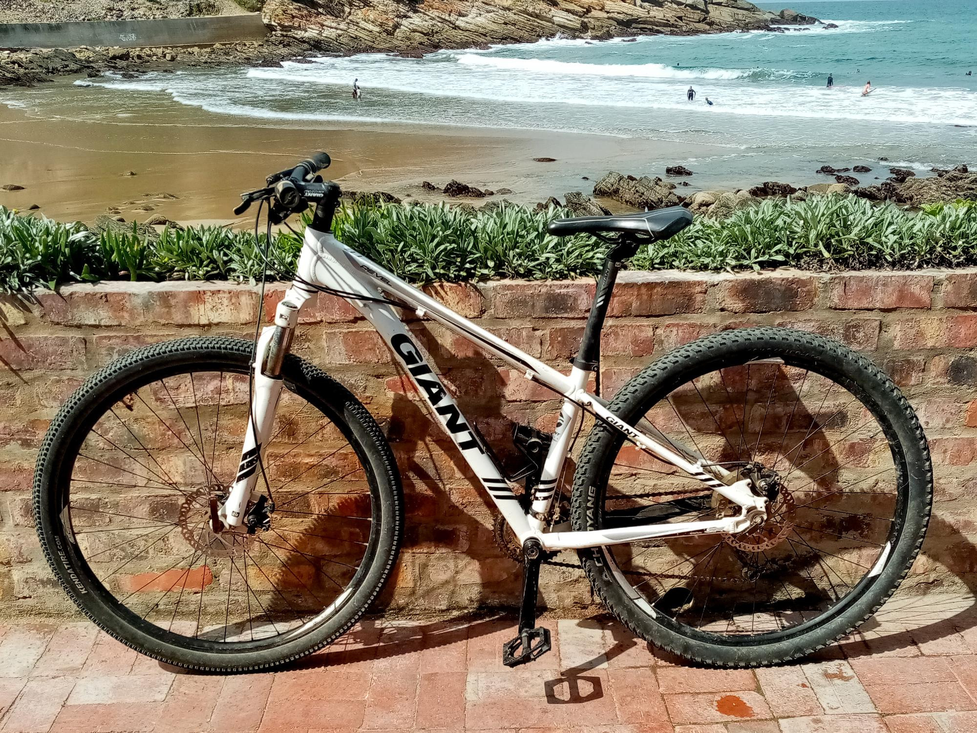 Giant Revel 29er Mountain Bike Revel 29er Giant Revel Size Guide Bike  Clearance Giant Revel 29er