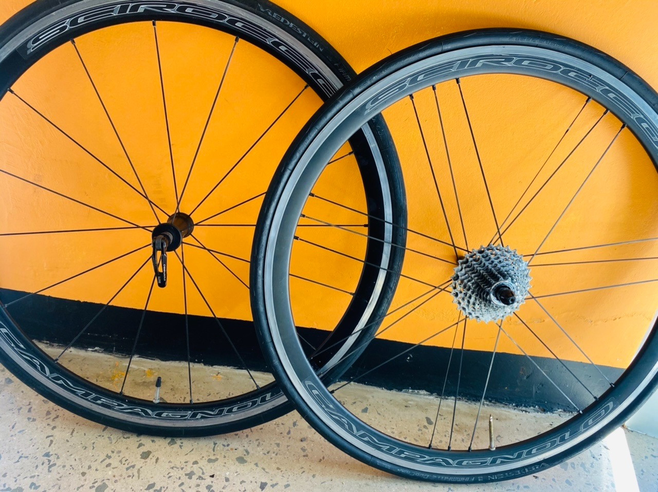 Campagnolo Scirocco wheelset | Road Bike Wheels | Bike Hub
