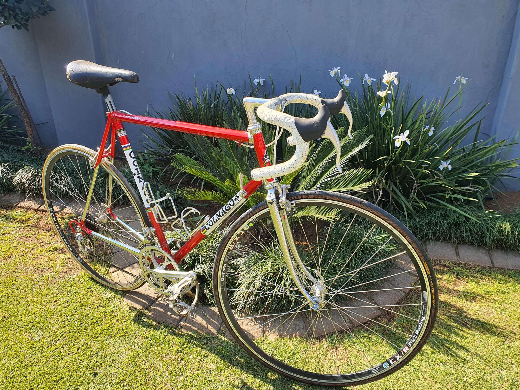 Colnago 希少 COLNAGO MASTER TUBI SPECIAL クロモリ フレーム CHRIS 
