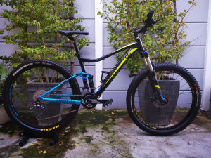 MEDIUM GIANT LIV EMBOLDEN DUEL SUSPENSION Dual