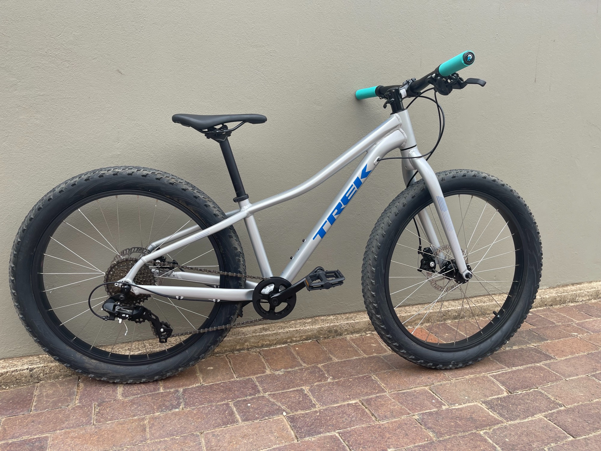 Trek Roscoe 24 Kids Bikes Bike Hub