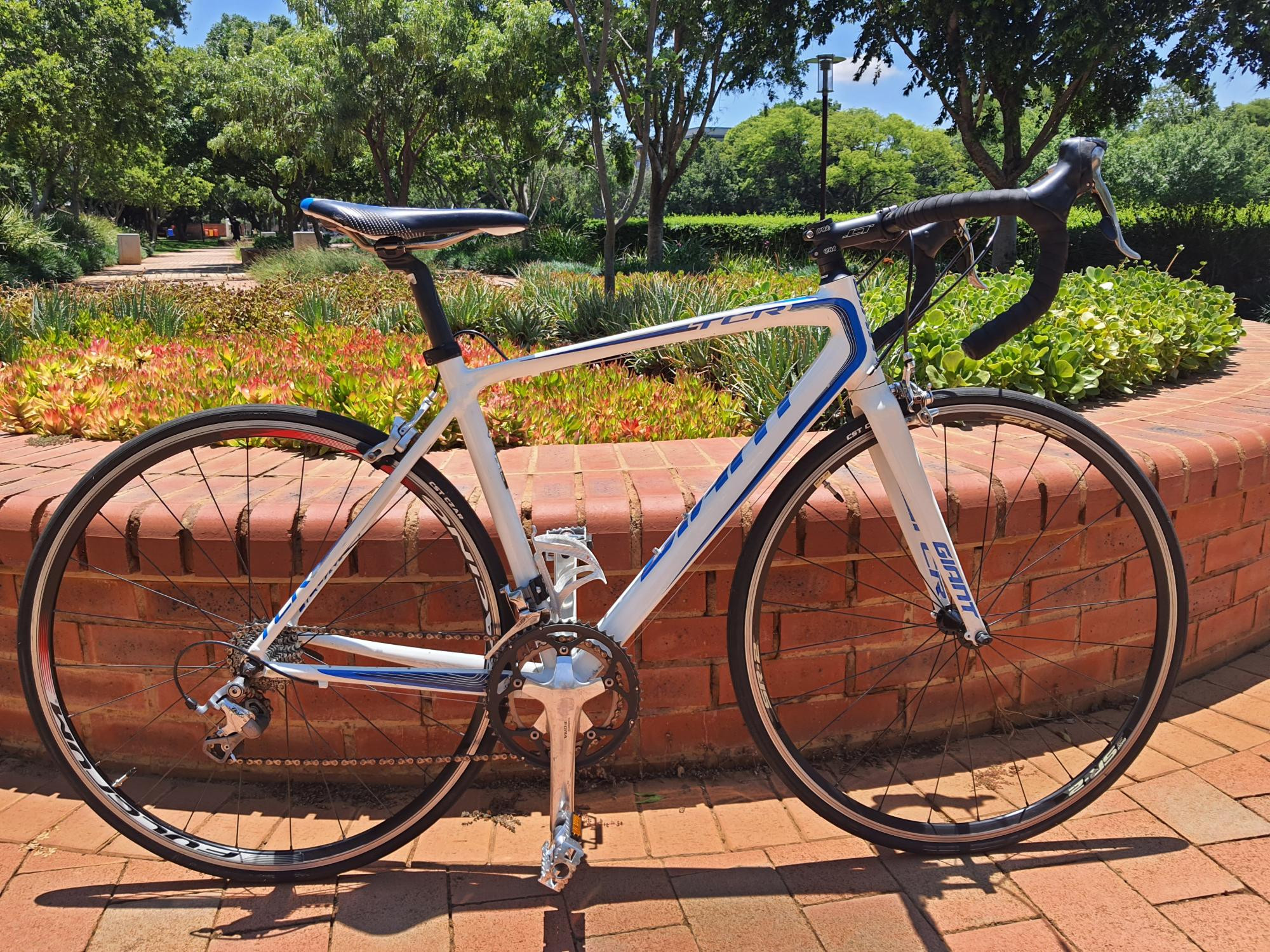 Giant TCR Aluxx Super Light | Road Bikes | Bike Hub