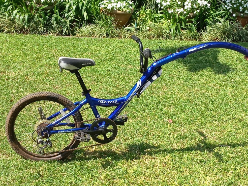 Giant half wheeler | Bike Hub