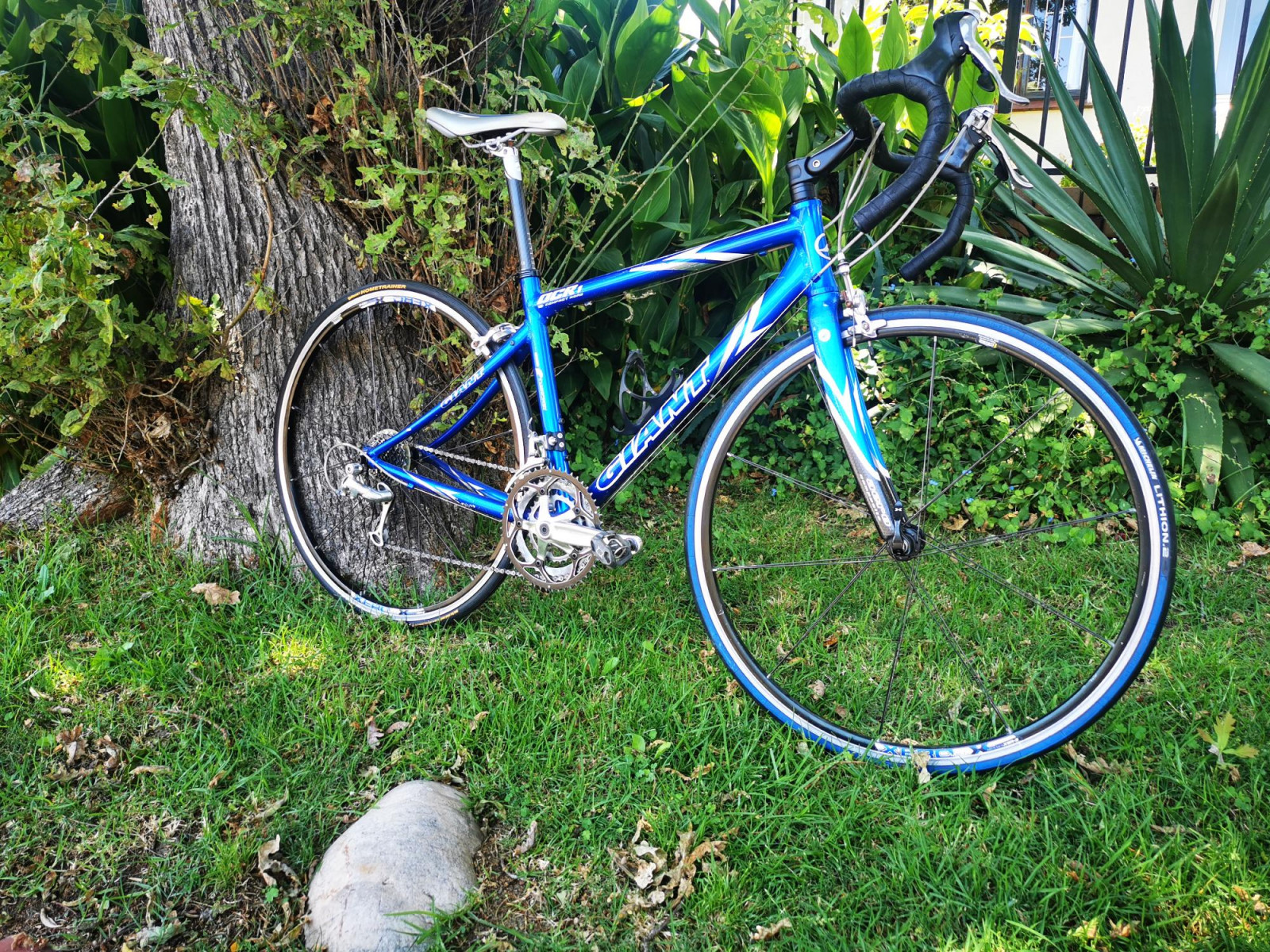 Giant OCR (Small) | Road Bikes | Bike Hub