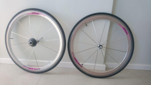 Campagnolo Shamal 12 HPW Titanium - Rare find! | Road Bike