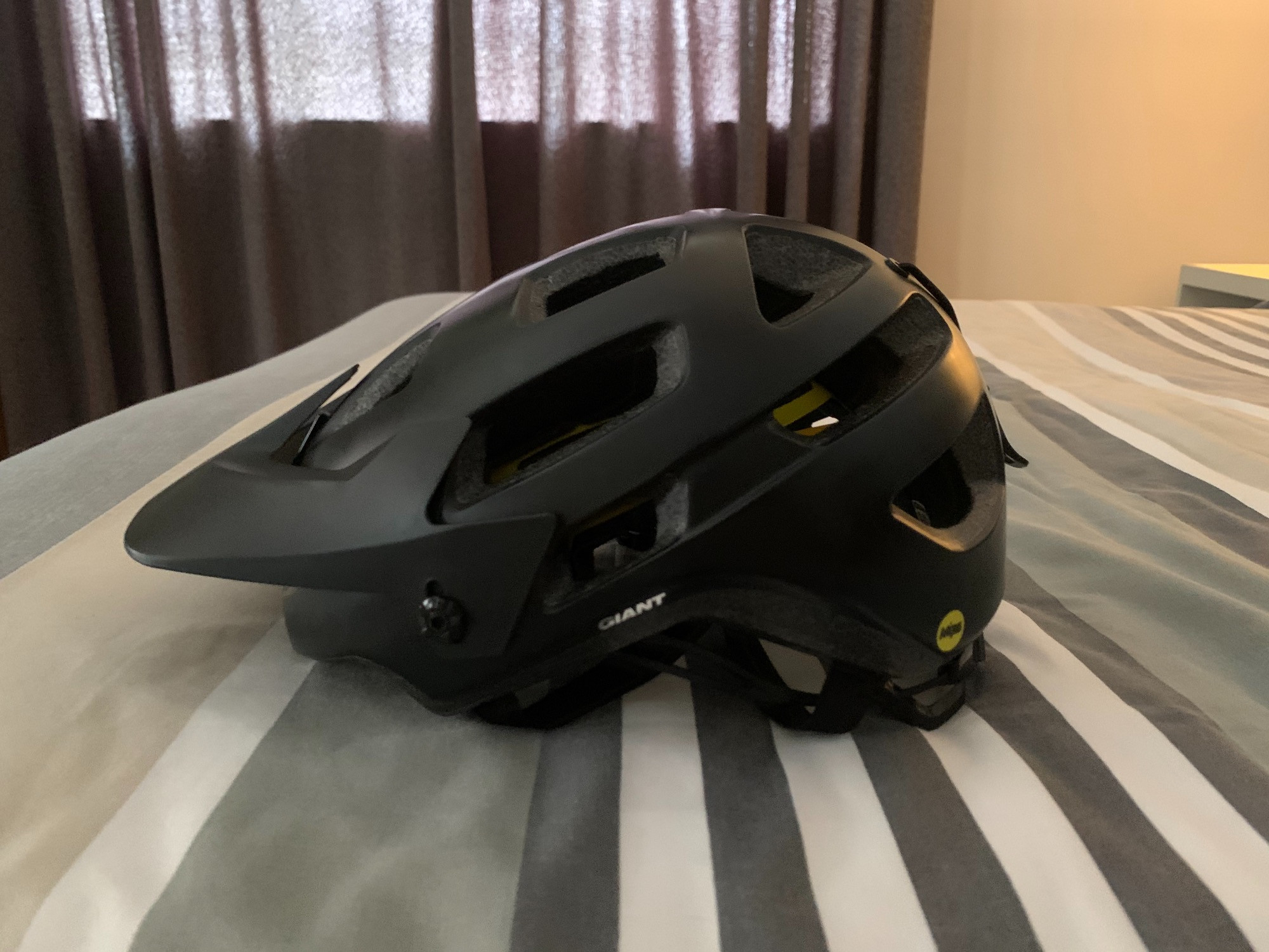 giant rail sx mips helmet