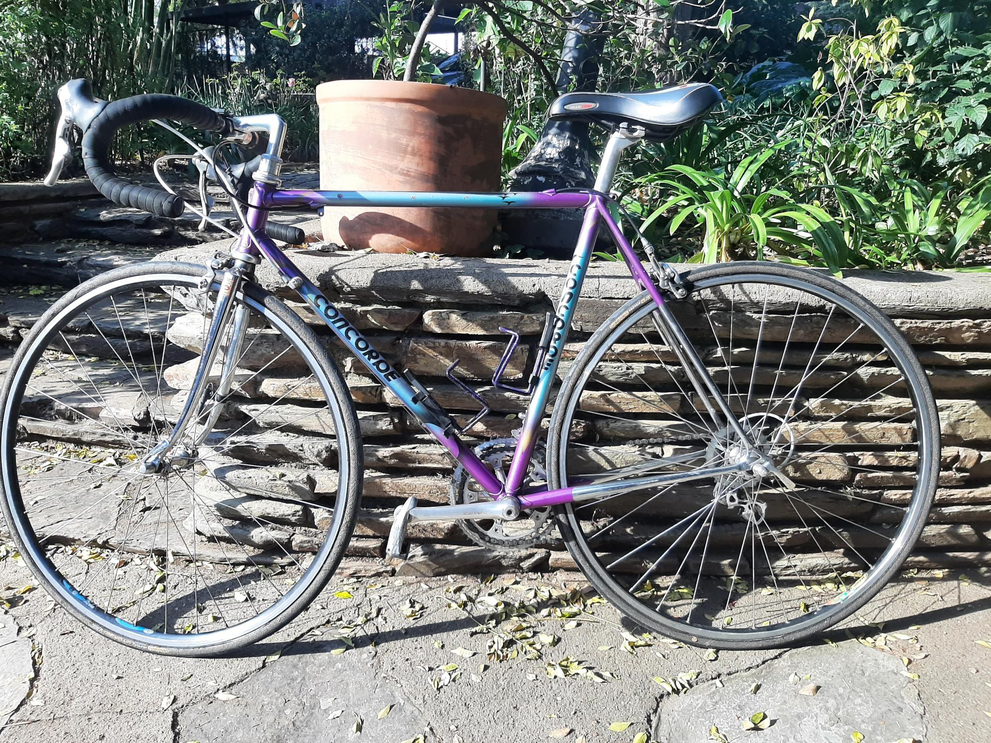 Cinelli Concorde Road Bikes Bike Hub