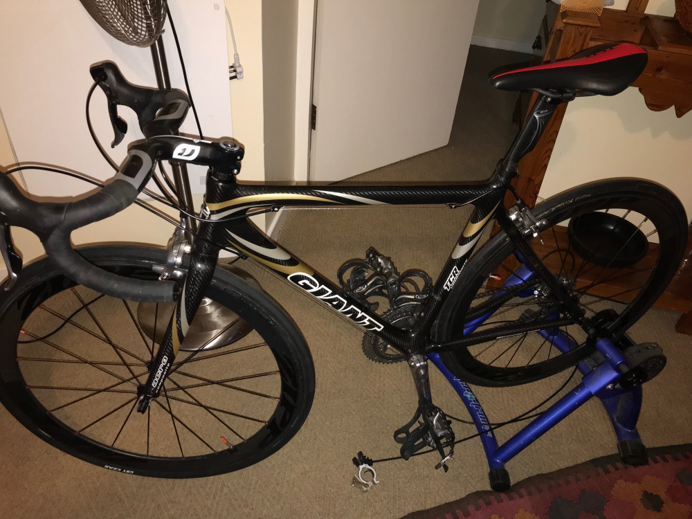 Giant TCR full carbon 54cm | Bike Hub
