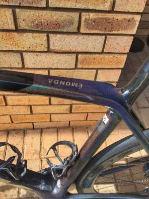 Emonda SL 6 Disc Frameset *Absolute 