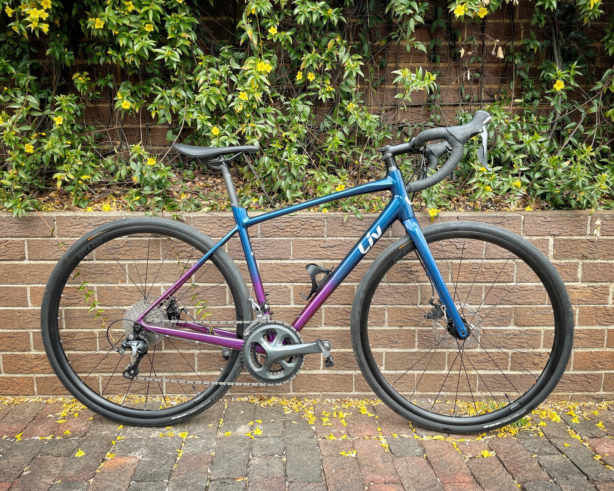 1x drivetrain mtb