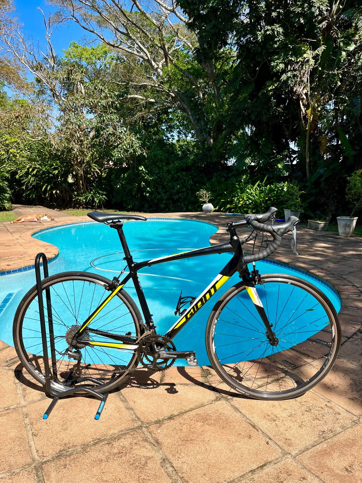 Bicicleta Proshop Bike Shimano Claris Bicicleta Giant Contend