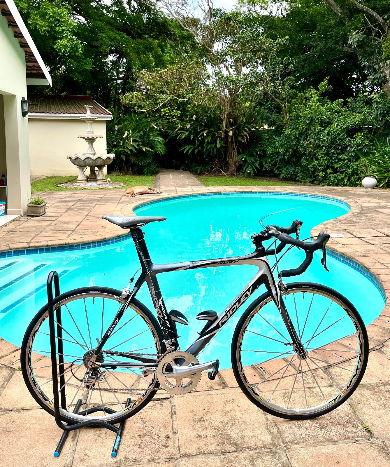 Carbon Ridley Noah(M/L) Bike Hub