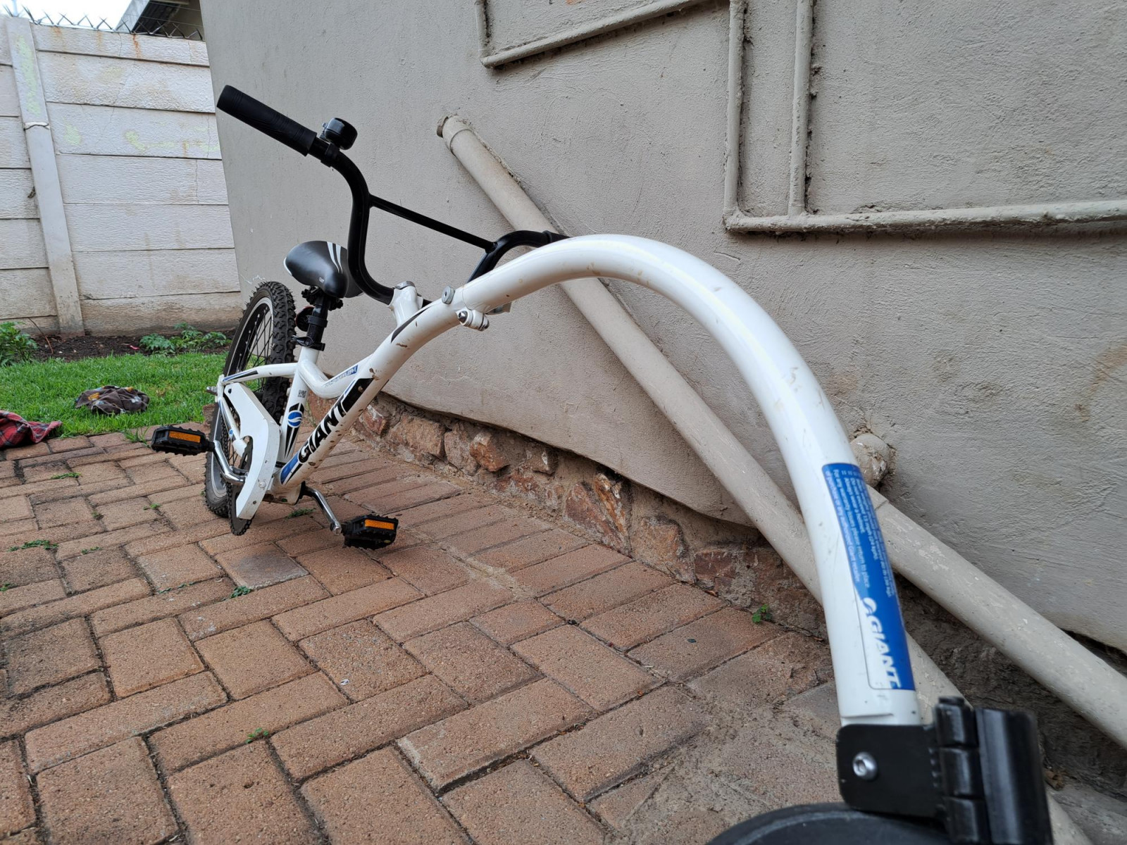 Giant Half Wheeler Bike Hub