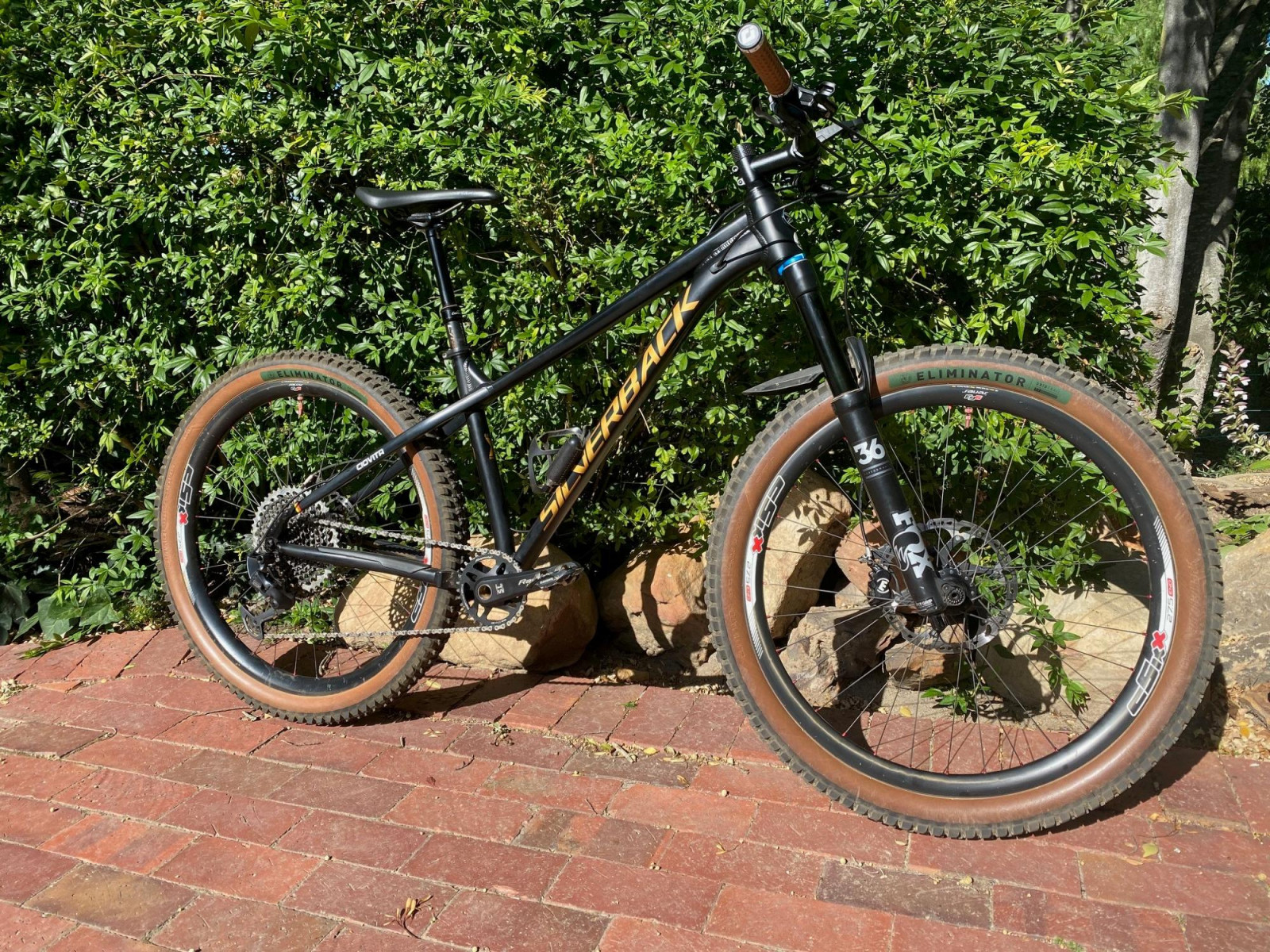 Silverback Slade with Carbon rims & Hope Pro4 hubs Bike Hub