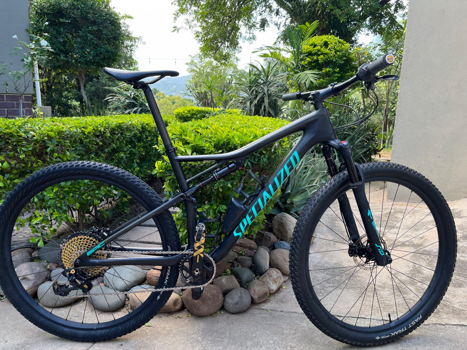 Specialized Epic 2019 (L) Bike Hub