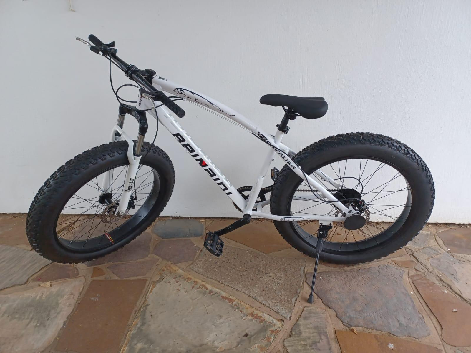 Fat Bike Cavalier Bike Hub